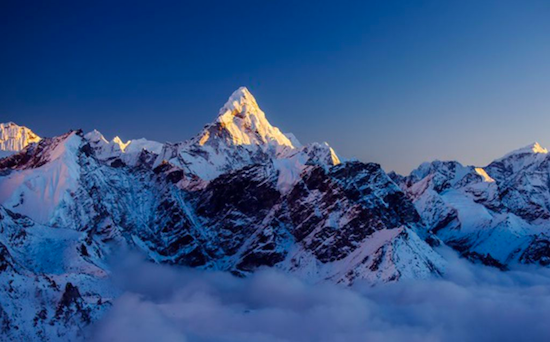 Himalayan