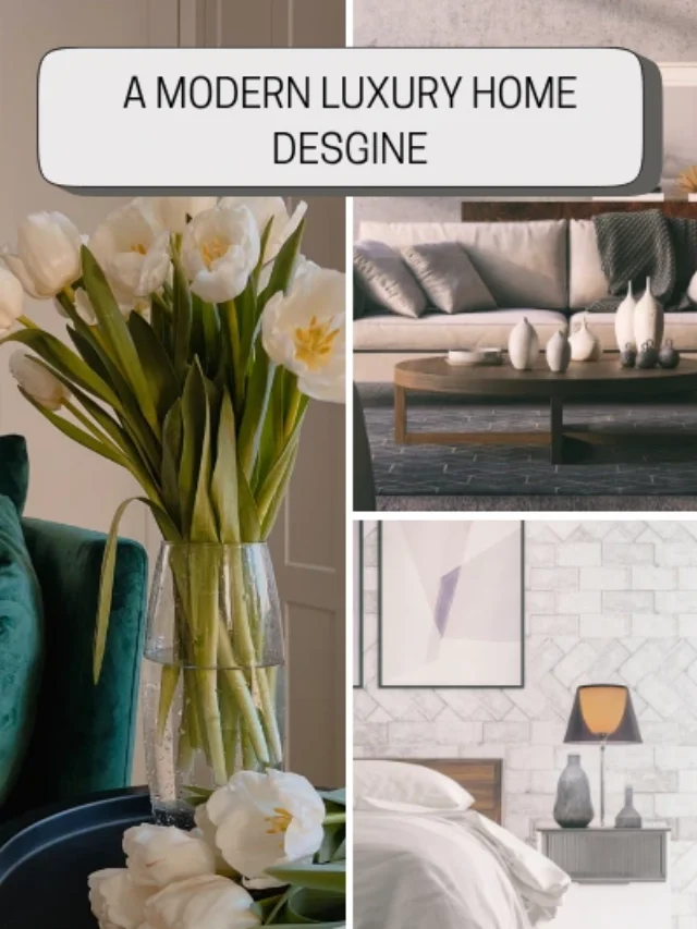 Best Color Combination for Home Interiors