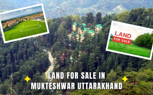 Land for Sale in Mukteshwar Uttarakhand